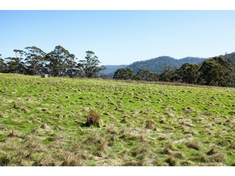 823 Bream Creek Road, Kellevie TAS 7176