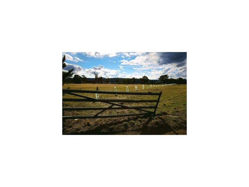 3386 Nugent Road, Buckland TAS 7190