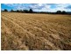 3386 Nugent Road, Buckland TAS 7190