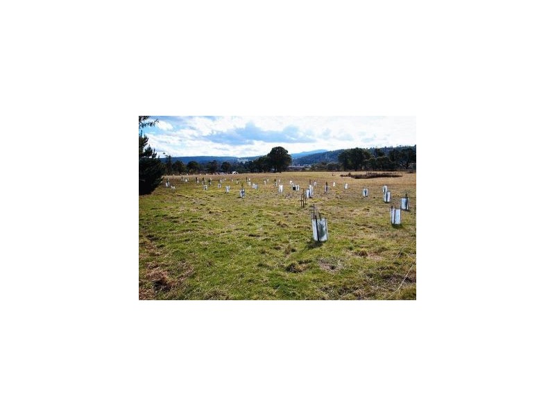 3386 Nugent Road, Buckland TAS 7190