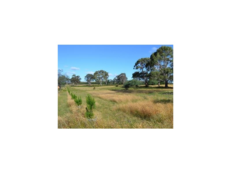Lot 3/3386 Nugent Road, Buckland TAS 7190