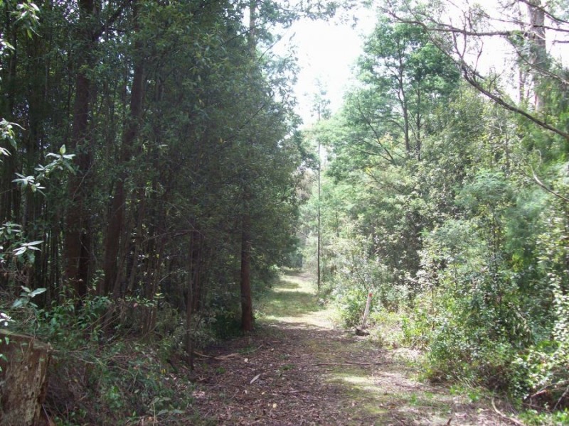 4895 Arthur Highway, Eaglehawk Neck TAS 7179