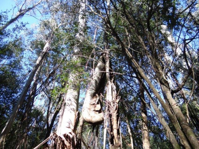 4895 Arthur Highway, Eaglehawk Neck TAS 7179