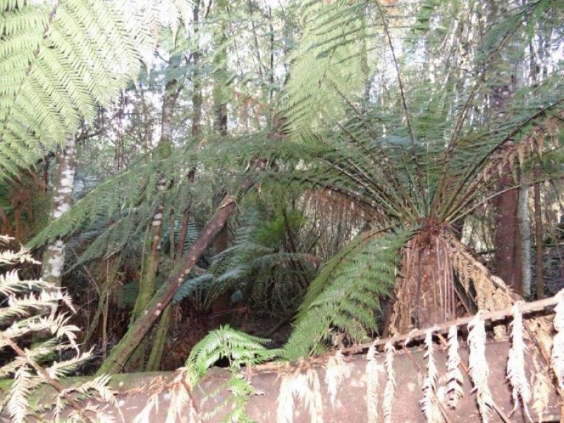 4895 Arthur Highway, Eaglehawk Neck TAS 7179