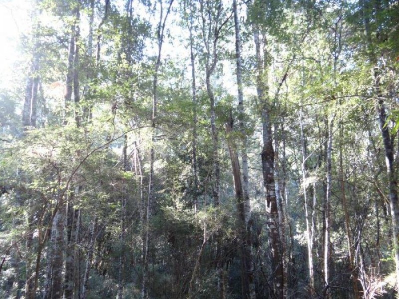 4895 Arthur Highway, Eaglehawk Neck TAS 7179