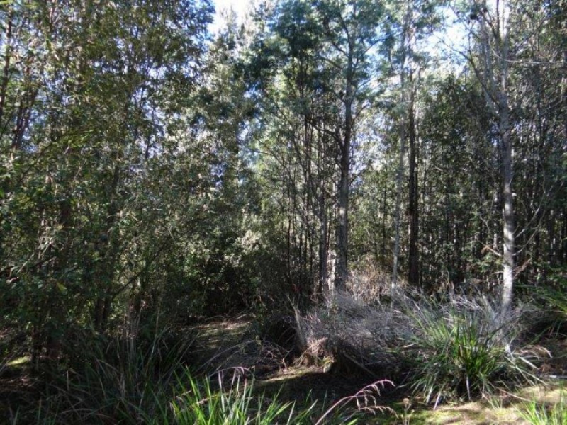 4895 Arthur Highway, Eaglehawk Neck TAS 7179