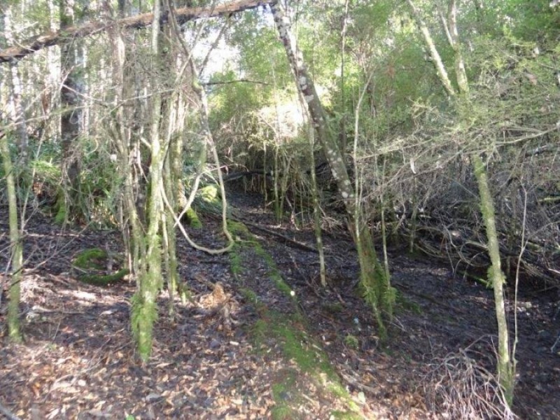 4895 Arthur Highway, Eaglehawk Neck TAS 7179