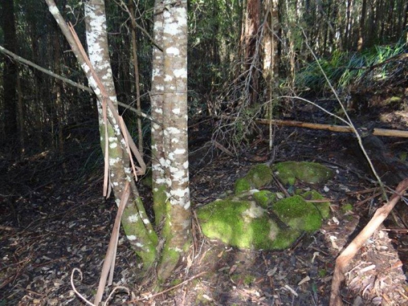 4895 Arthur Highway, Eaglehawk Neck TAS 7179