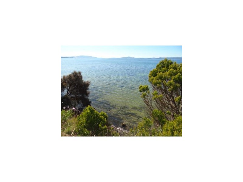 824 Saltwater River Rd, Saltwater River TAS 7186