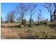 7 Clark Street, Dunalley TAS 7177