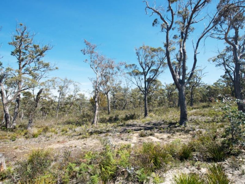 Lots Gwandalan Road, Saltwater River TAS 7186