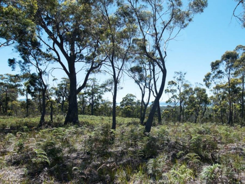 Lots Gwandalan Road, Saltwater River TAS 7186