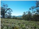 Lots Gwandalan Road, Saltwater River TAS 7186