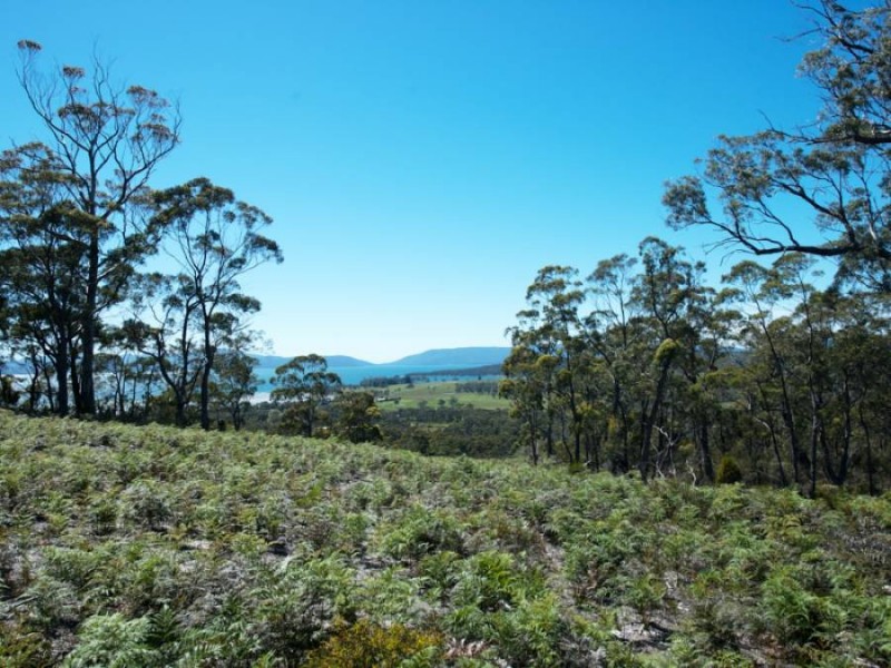 Lots Gwandalan Road, Saltwater River TAS 7186