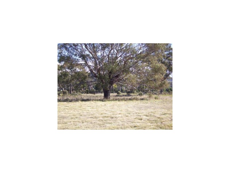 4 / 3386 Nugent Road, Buckland TAS 7190