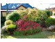 29 Walker Street, Sorell TAS 7172