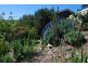 54 Signal Hill Road, Dodges Ferry TAS 7173