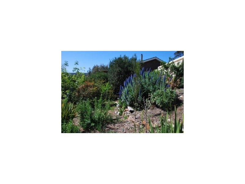 54 Signal Hill Road, Dodges Ferry TAS 7173