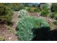 54 Signal Hill Road, Dodges Ferry TAS 7173