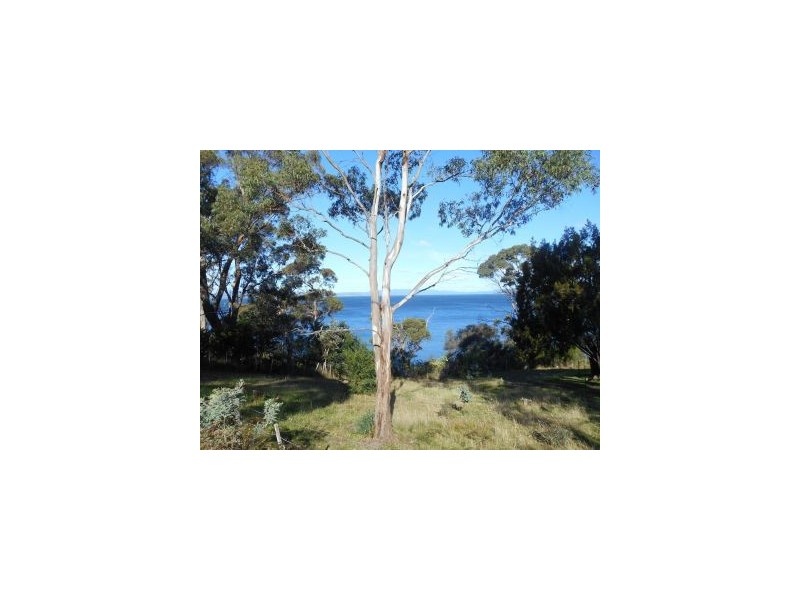 39 Susans Bay Road, Primrose Sands TAS 7173