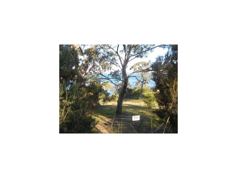 39 Susans Bay Road, Primrose Sands TAS 7173