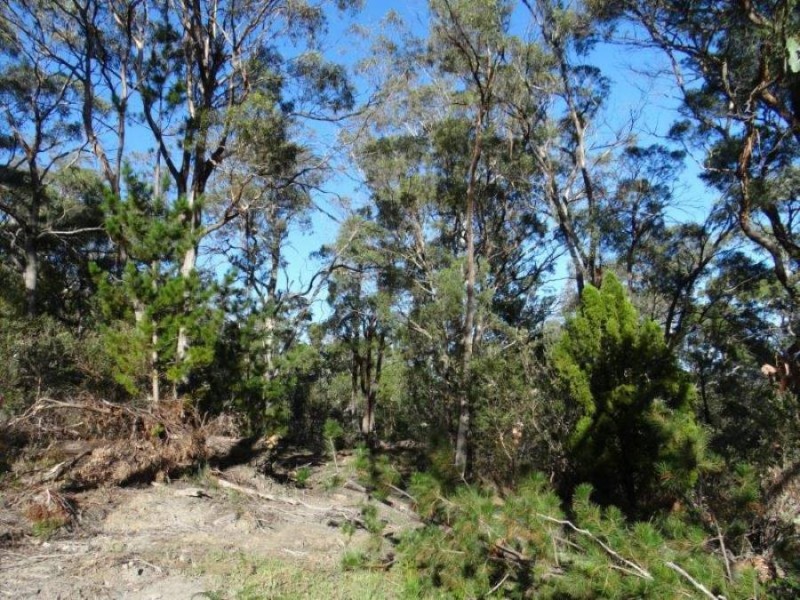 Lot 1 Martha Street, Taranna TAS 7180