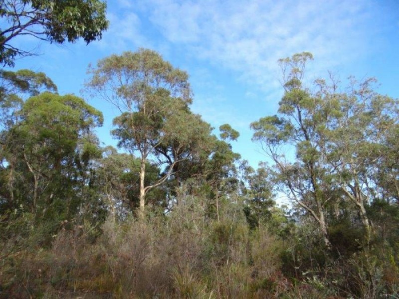 Lot 1 Martha Street, Taranna TAS 7180