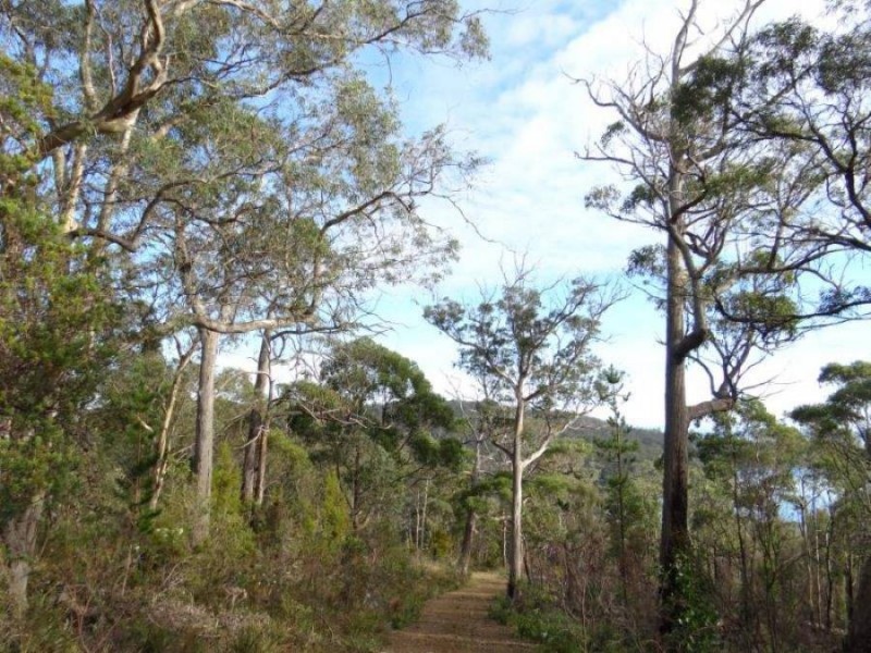 Lot 1 Martha Street, Taranna TAS 7180