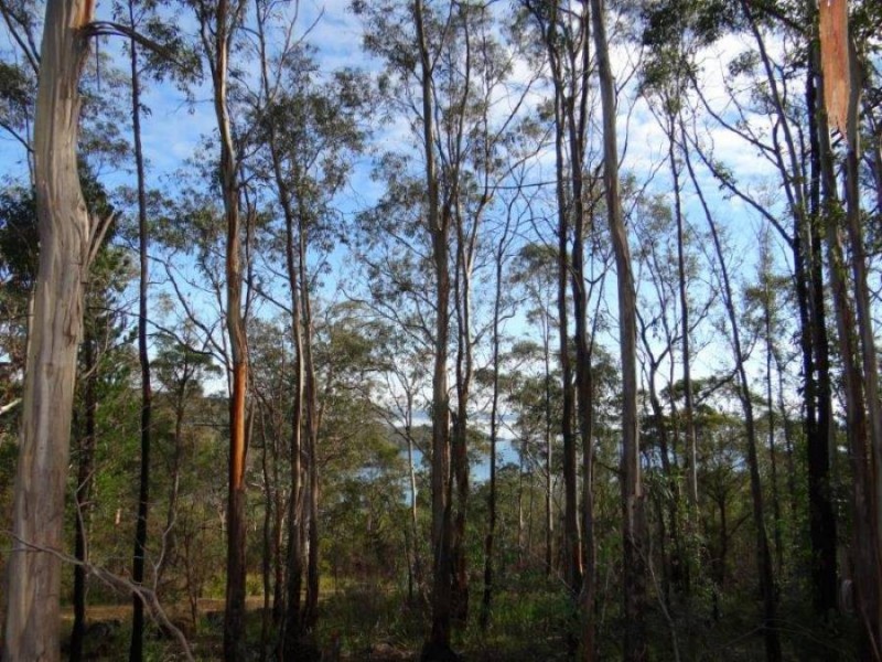 Lot 1 Martha Street, Taranna TAS 7180