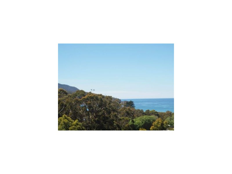 25 Lyne Street, Eaglehawk Neck TAS 7179