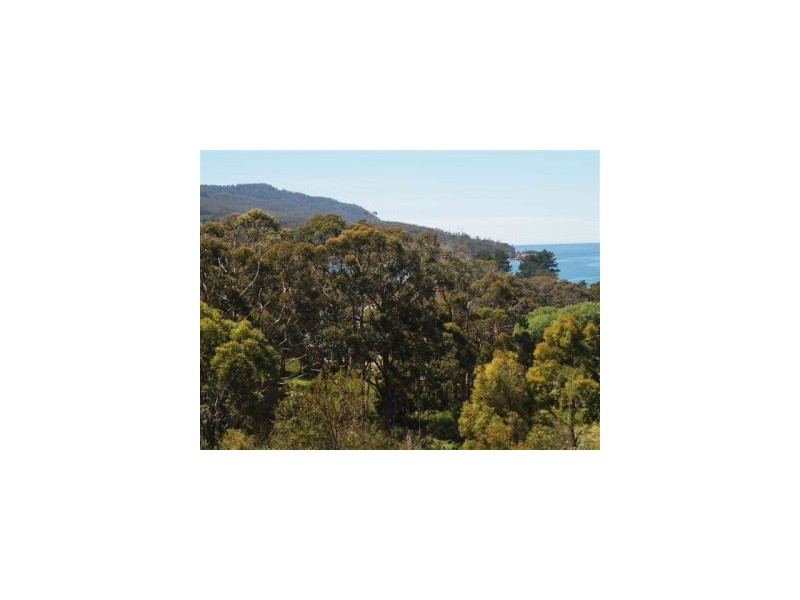 25 Lyne Street, Eaglehawk Neck TAS 7179