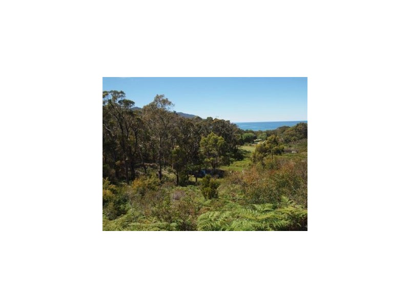 25 Lyne Street, Eaglehawk Neck TAS 7179