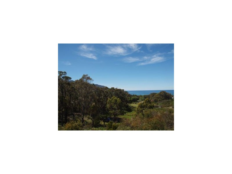 25 Lyne Street, Eaglehawk Neck TAS 7179