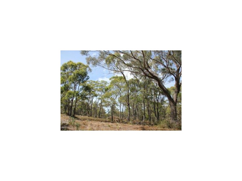 287 Gwandalan Road, Sloping Main TAS 7186