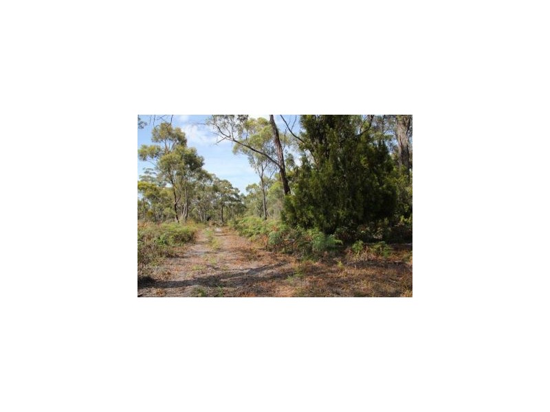 287 Gwandalan Road, Sloping Main TAS 7186