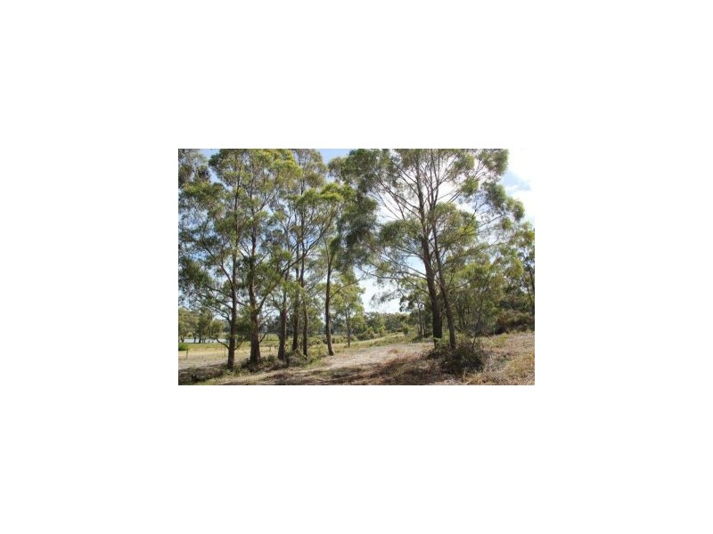 287 Gwandalan Road, Sloping Main TAS 7186