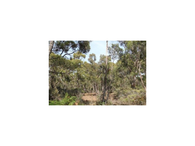287 Gwandalan Road, Sloping Main TAS 7186