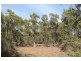 287 Gwandalan Road, Sloping Main TAS 7186