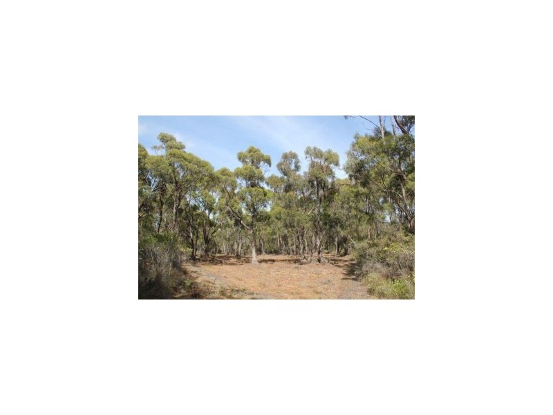 287 Gwandalan Road, Sloping Main TAS 7186