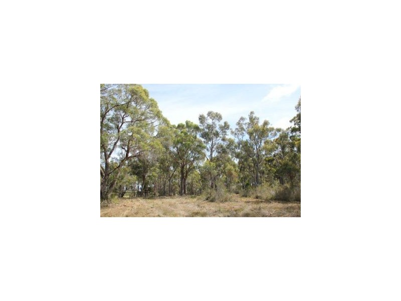 287 Gwandalan Road, Sloping Main TAS 7186