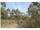 287 Gwandalan Road, Sloping Main TAS 7186