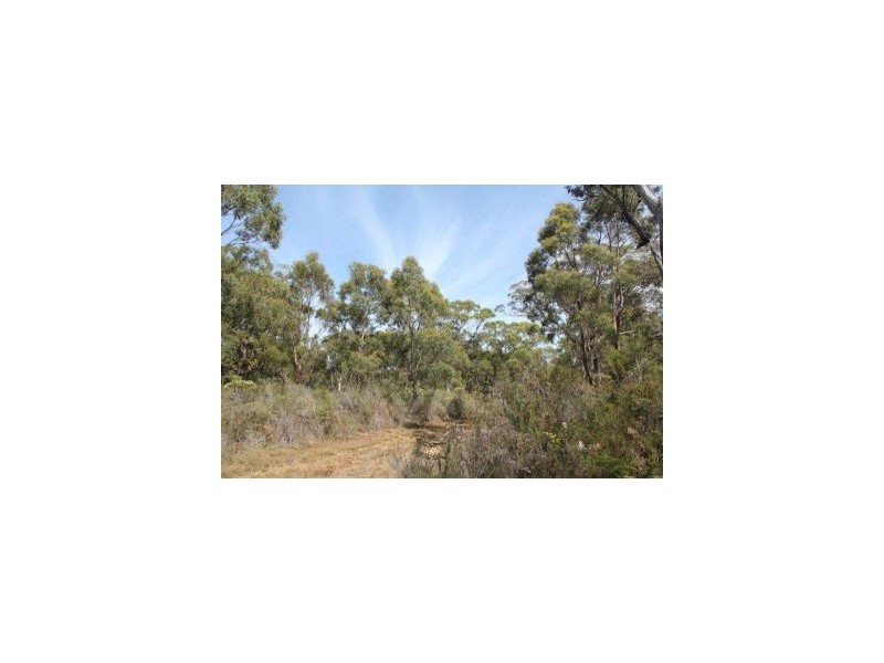 287 Gwandalan Road, Sloping Main TAS 7186