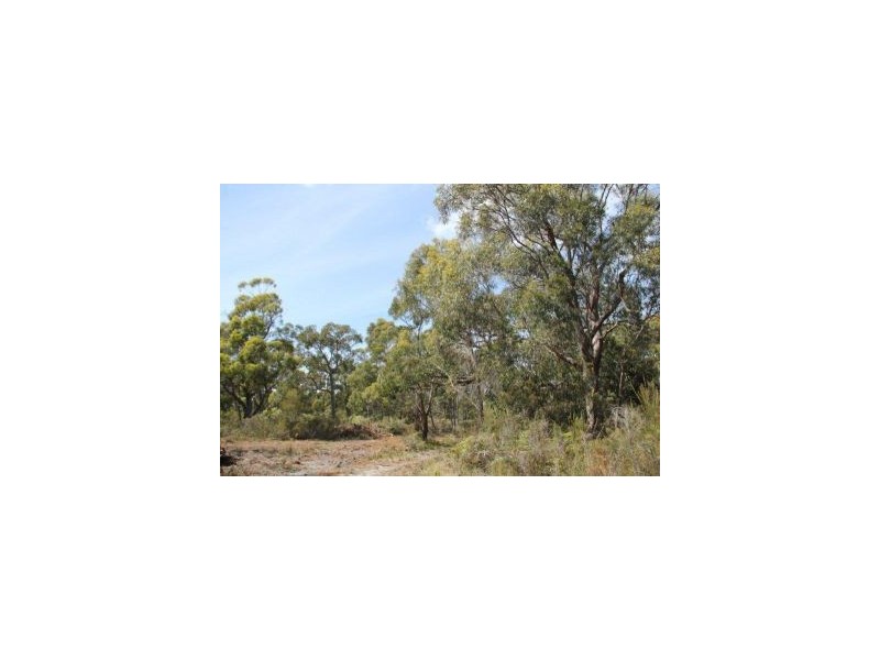 287 Gwandalan Road, Sloping Main TAS 7186