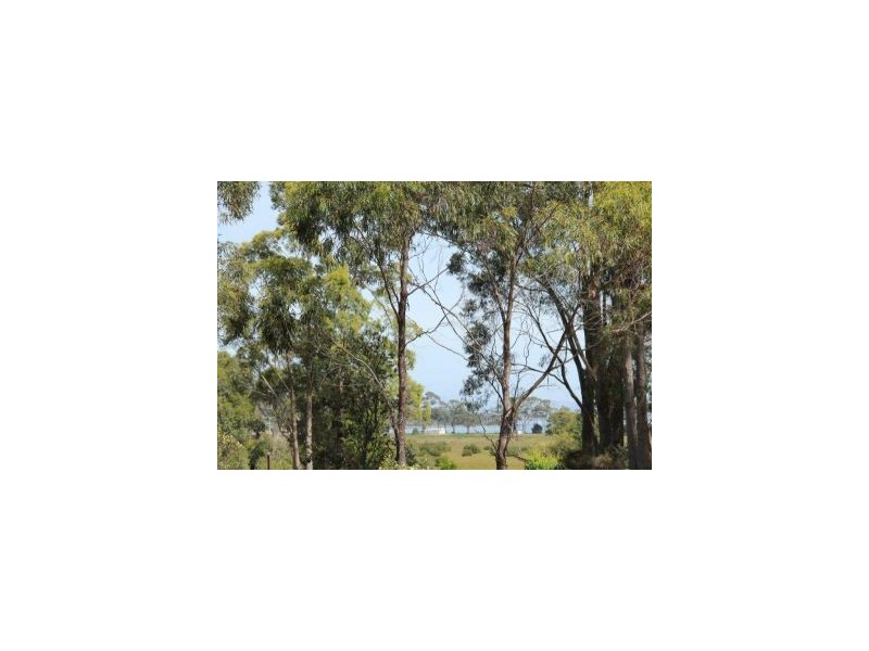 287 Gwandalan Road, Sloping Main TAS 7186