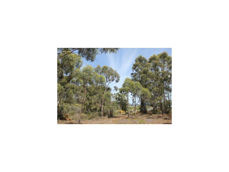 287 Gwandalan Road, Sloping Main TAS 7186