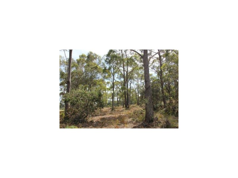 287 Gwandalan Road, Sloping Main TAS 7186