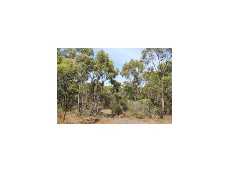 287 Gwandalan Road, Sloping Main TAS 7186