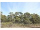 287 Gwandalan Road, Sloping Main TAS 7186
