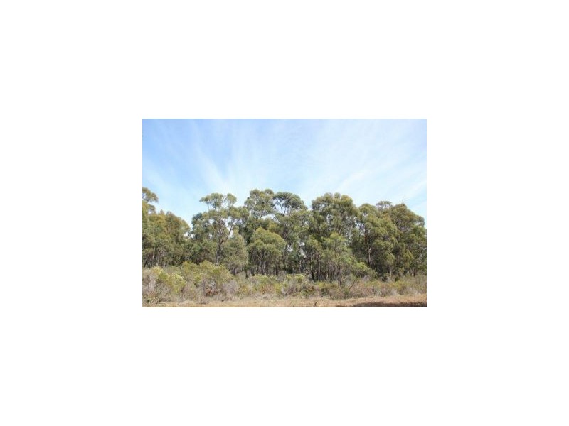 287 Gwandalan Road, Sloping Main TAS 7186