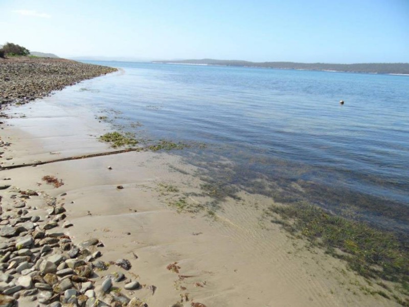 Lot 1 Black Jack Road, Sloping Main TAS 7186